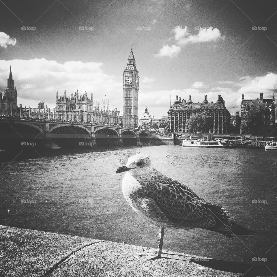 The official London Eye