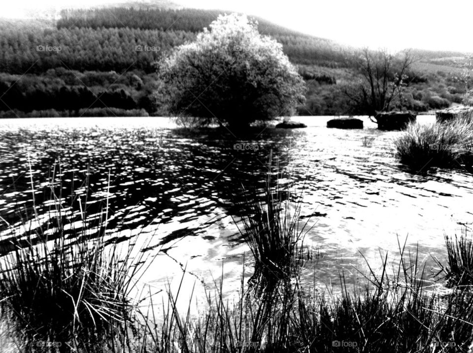 WELSH LAKE