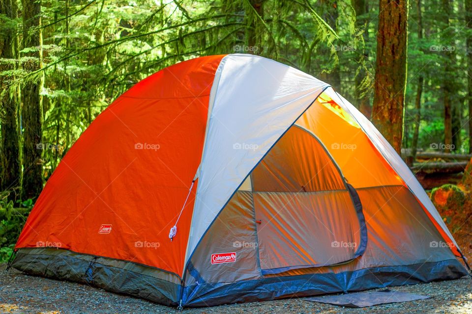 Camping tent 