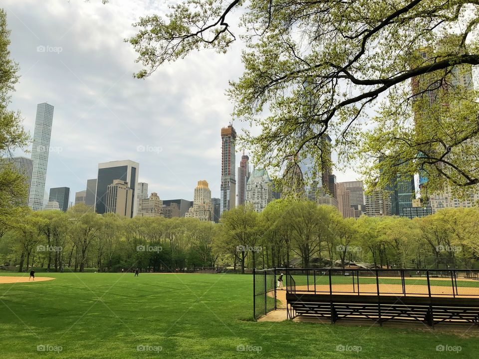 a view from central park to new york city buildings. bringing the beauty of central park being in the middle of large buildings