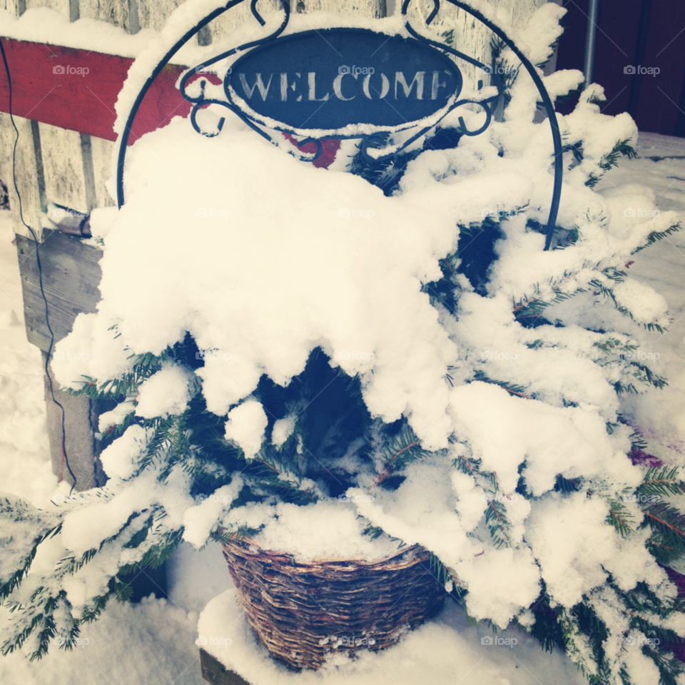 snow winter welcome ed by lindajacobi