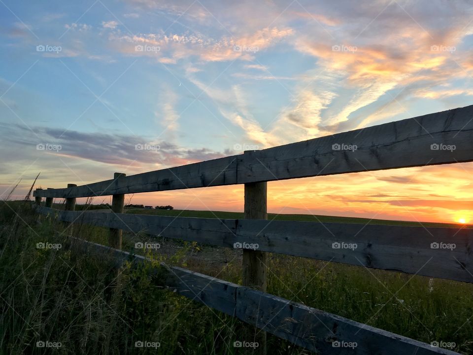 Prairie fence line 