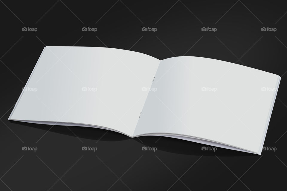 White blank brochure