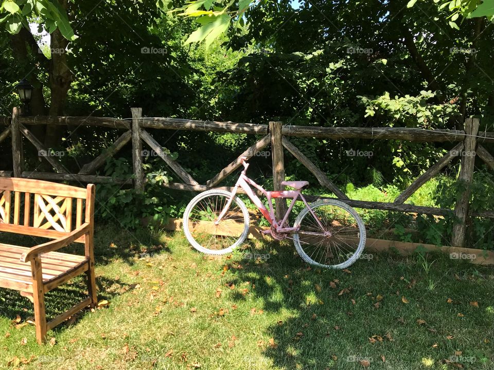 bicycle in green meadow