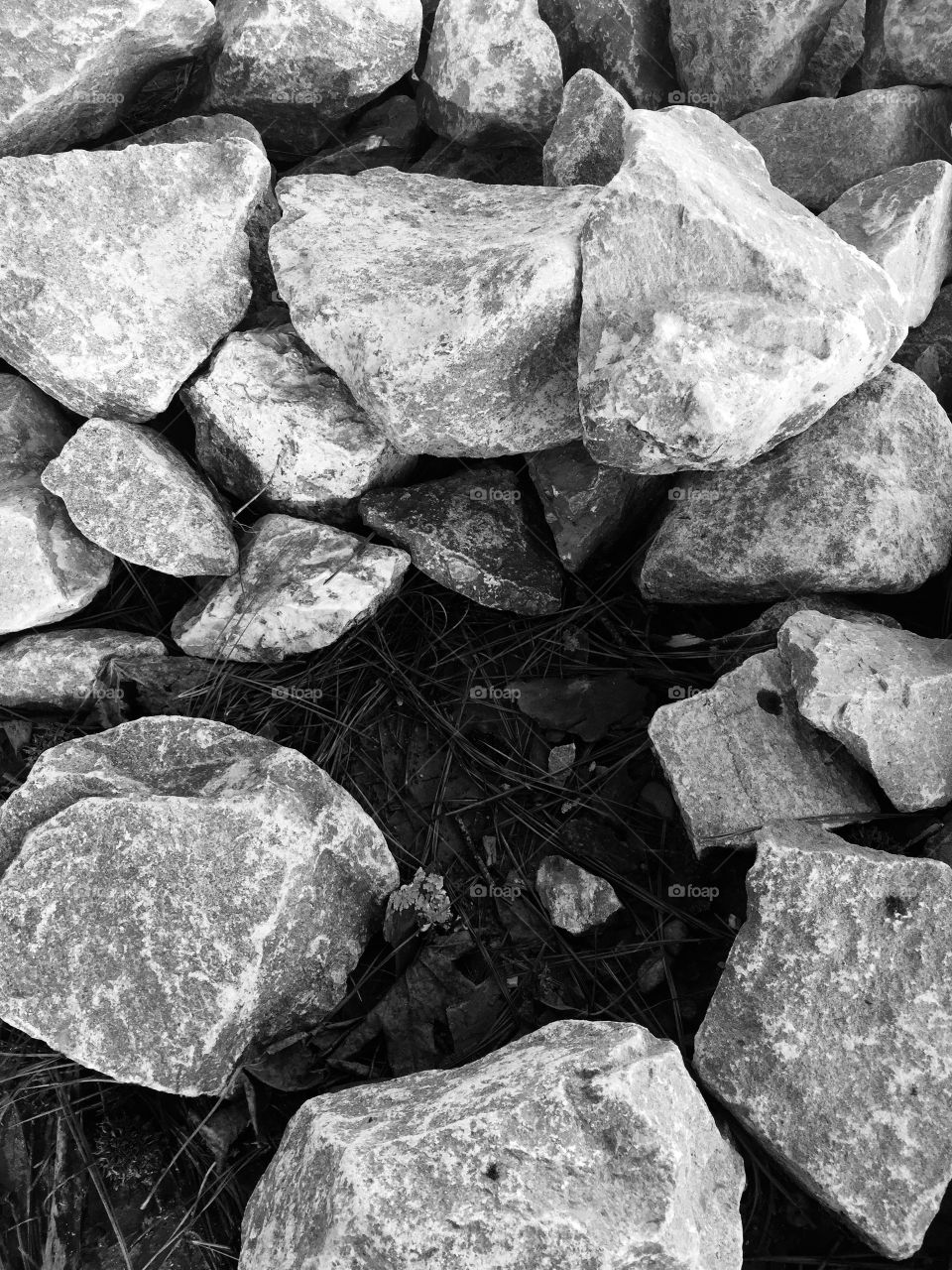 Black and white rocks!