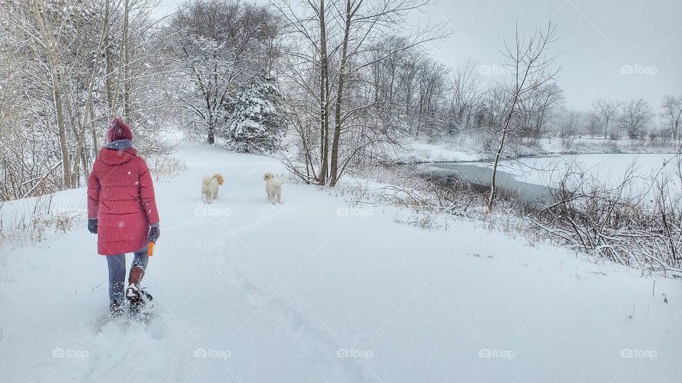 snow shoe hike by lake woman with dogs