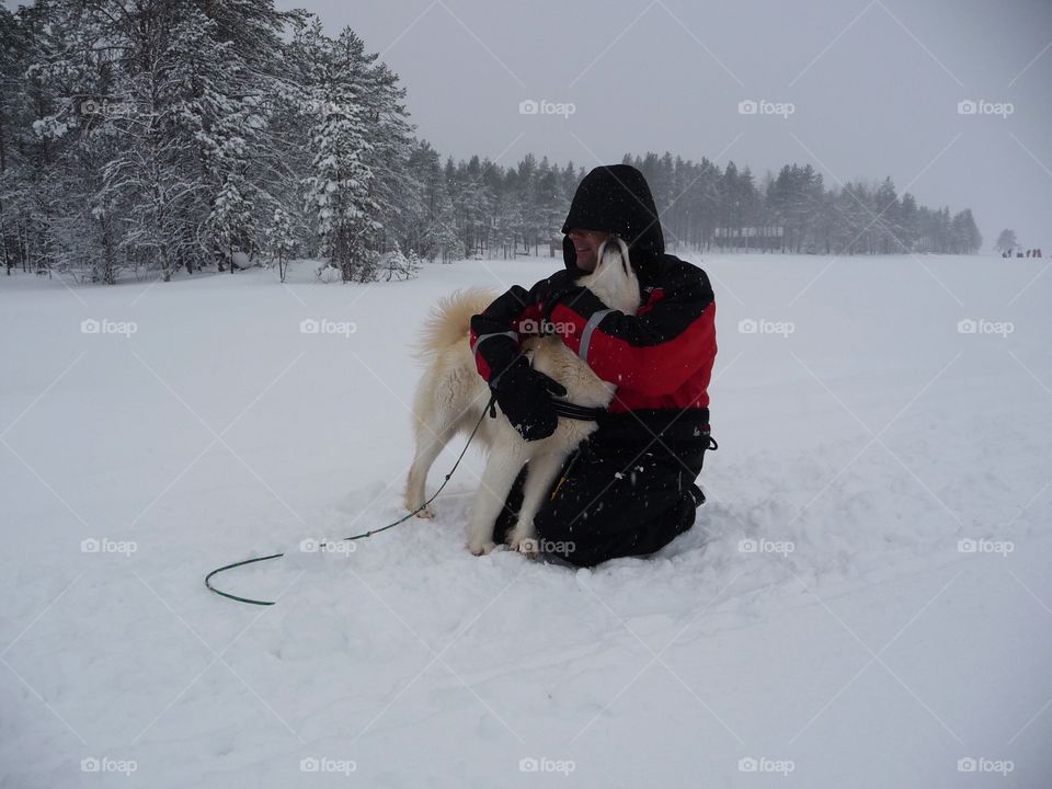 Rose, the husky lady, loves to take walks and  cuddle with her tour guide