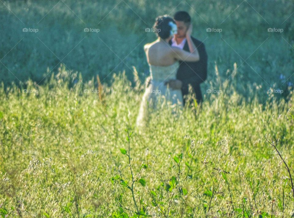 Romance In The Golden Hour. Newlyweds In A Meadow Before Sundown