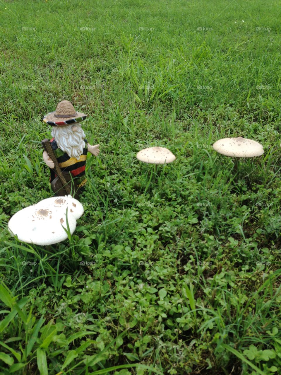 Mariachi Gnome's Mushroom Village . A ceramic mariachi gnome watches over his garden