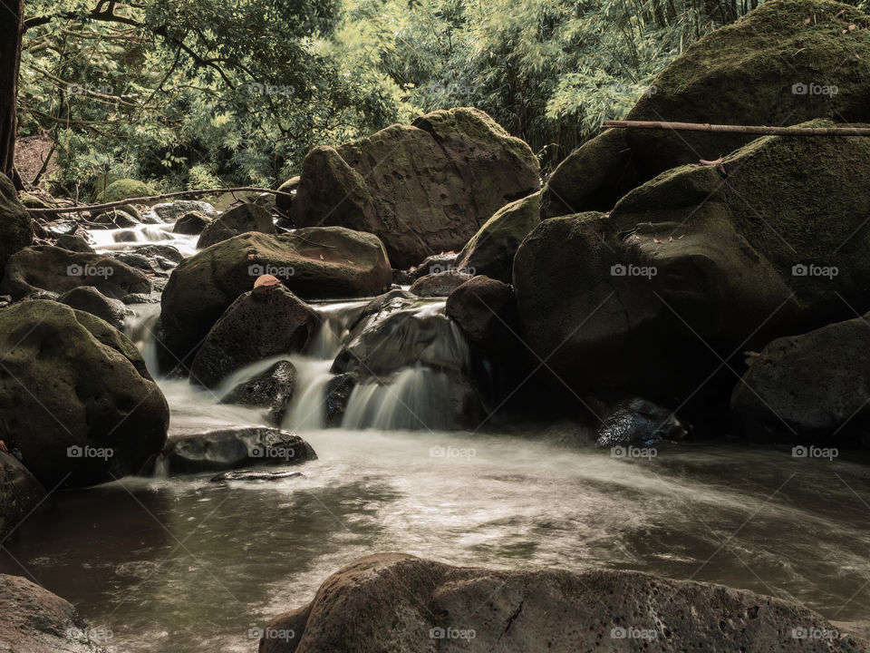 Moody water and creek (Judd Trail)  OAhu, HAwaii