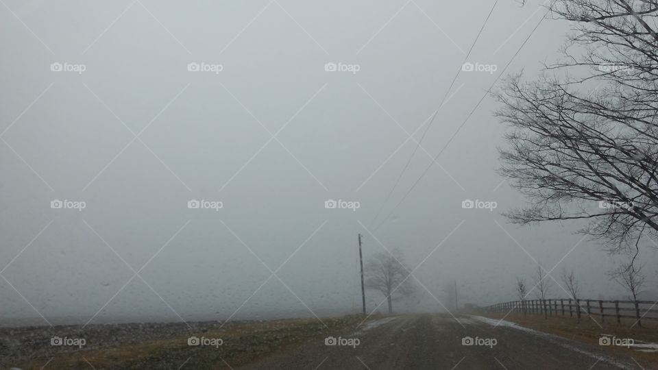 Fog, Landscape, Winter, Mist, Snow