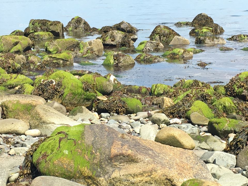 Long Island sound crabbing grounds