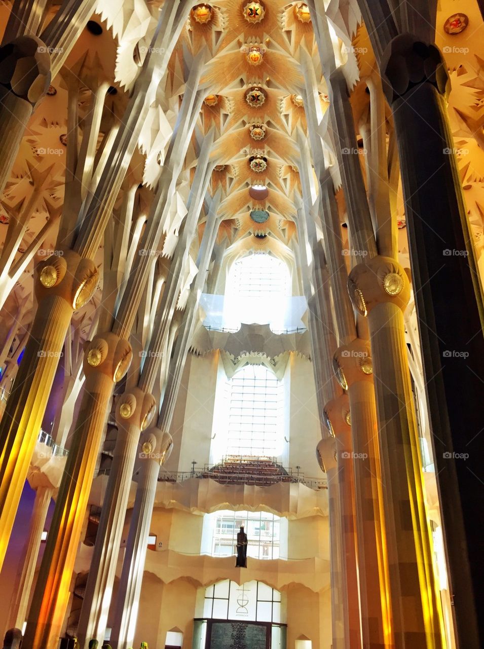 Sagrada Familia Cathedral in Barcrlona, Spain