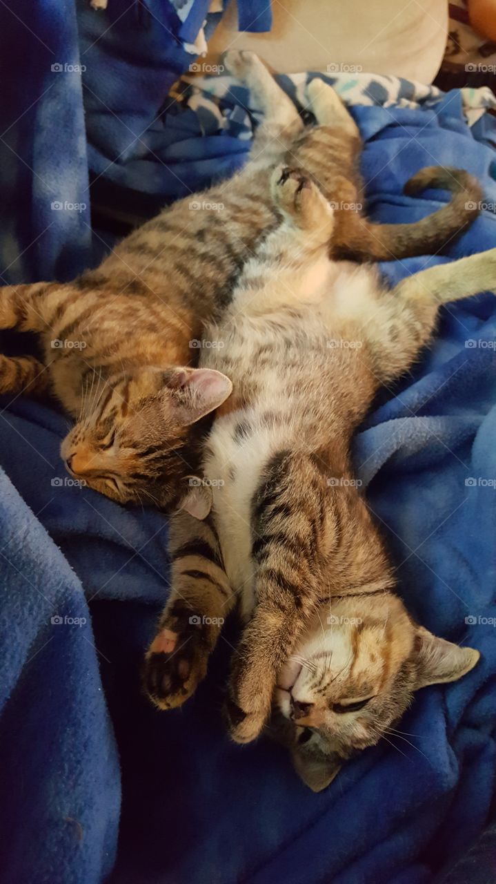 Sleeping twins