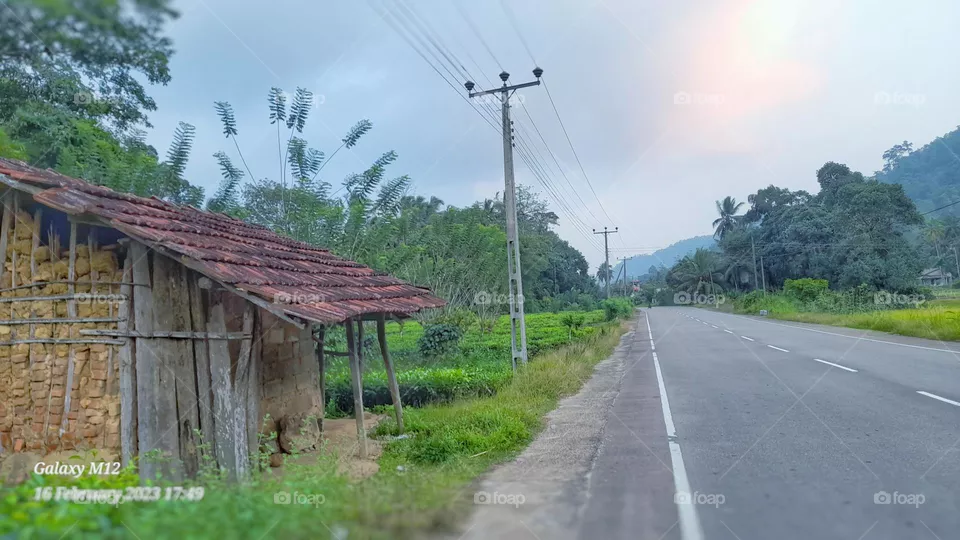 the village 
sri lanka