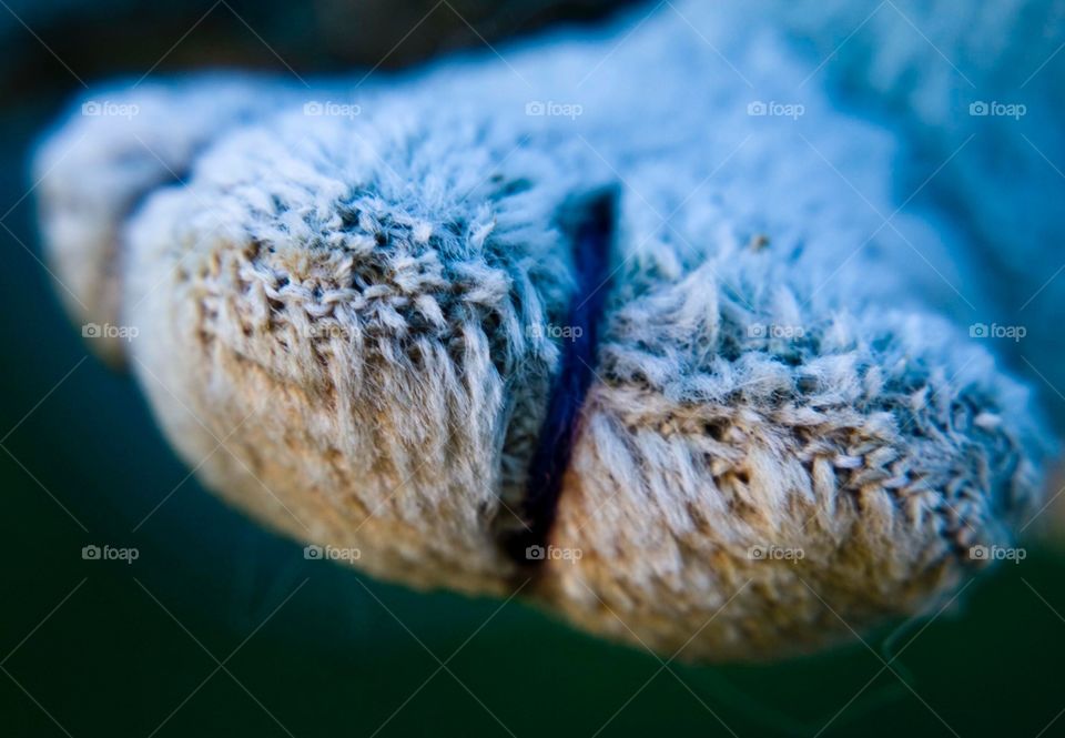 The paw of a worn stuffed animal left on a grave stone. Even after abstracting it with a macro lens, I still find this photo sad.