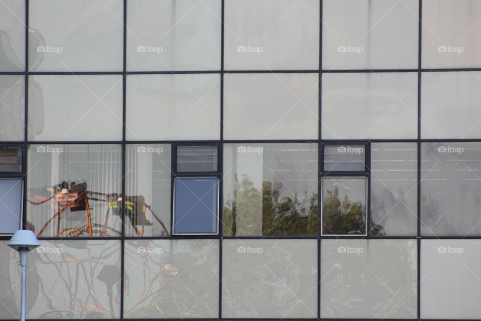 reflection ferries wheel 🎡