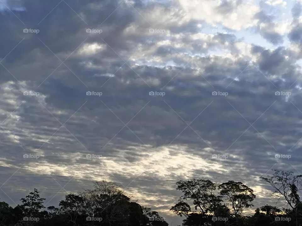 paisagem