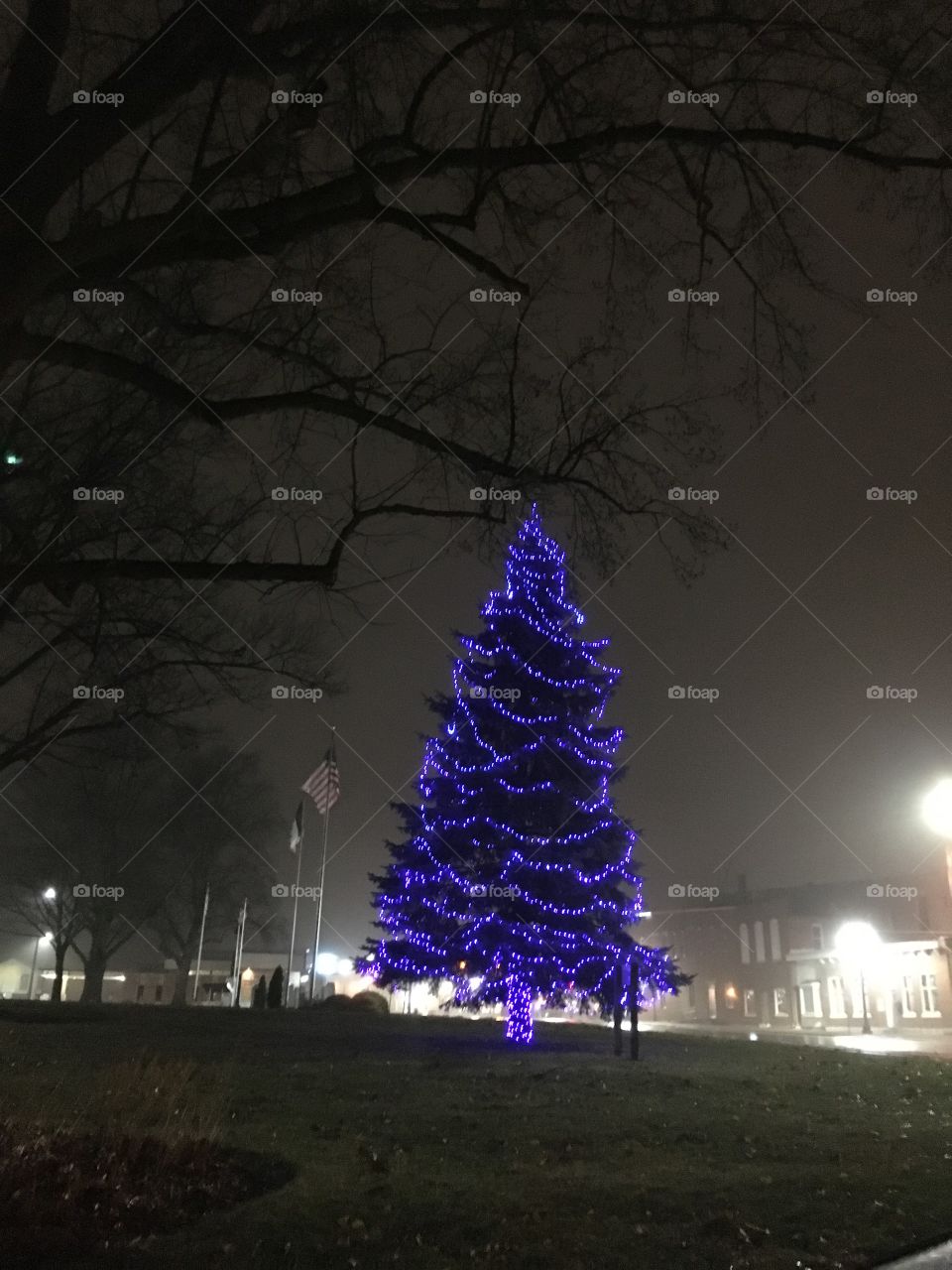 Foggy Blue Christmas Tree