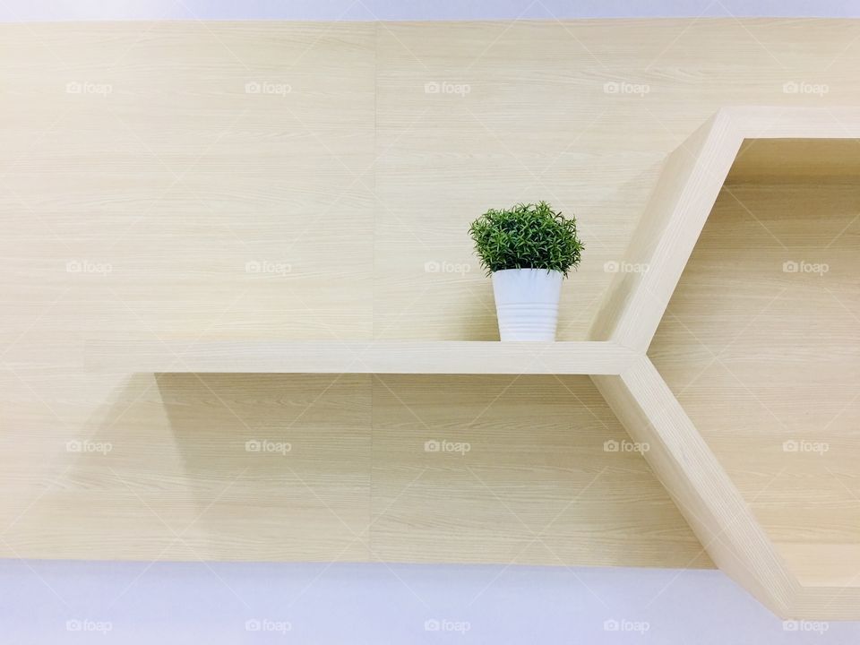 Botany on shelf 