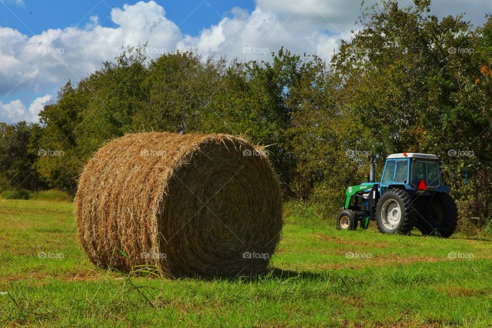 Tractor and grass, open field harvest season