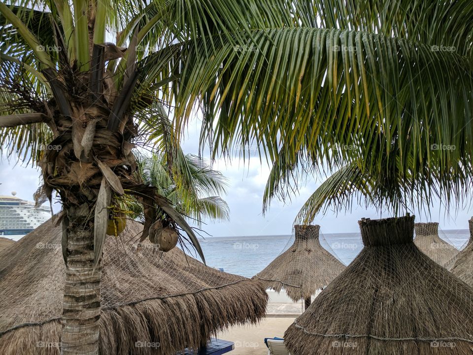 day at the beach