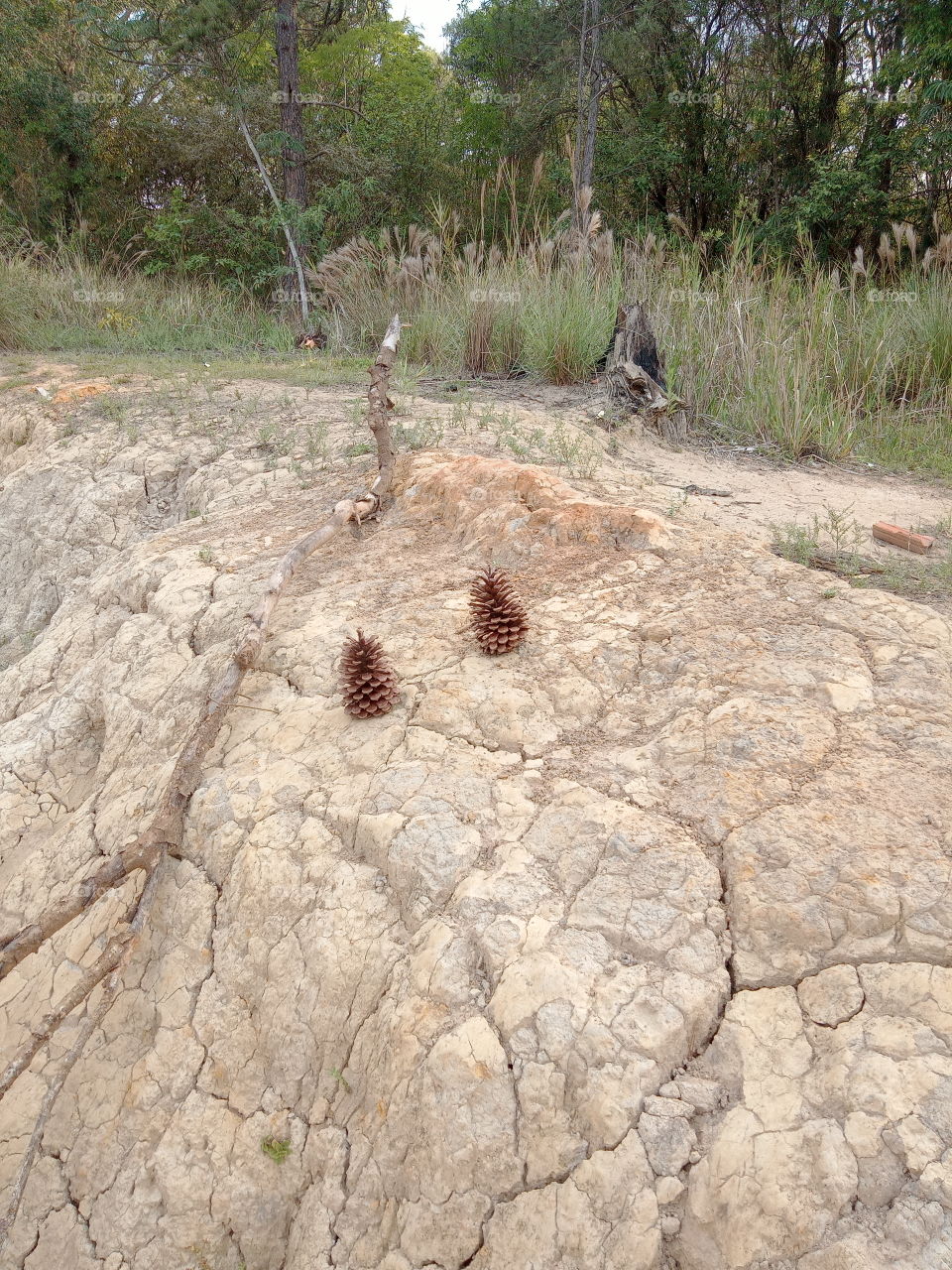 A Natureza e seus encantos