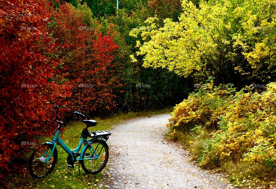 Finnish E-Jopo bike surrounded with october rust