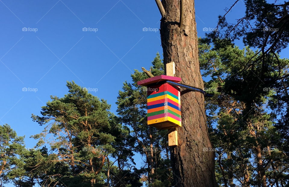 Colorful birdhouse.