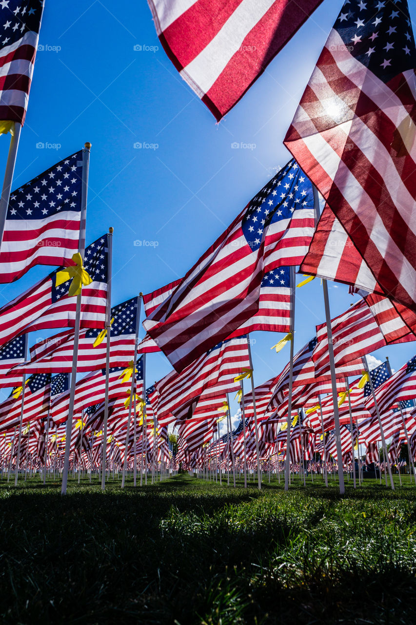 Field of Honor 8