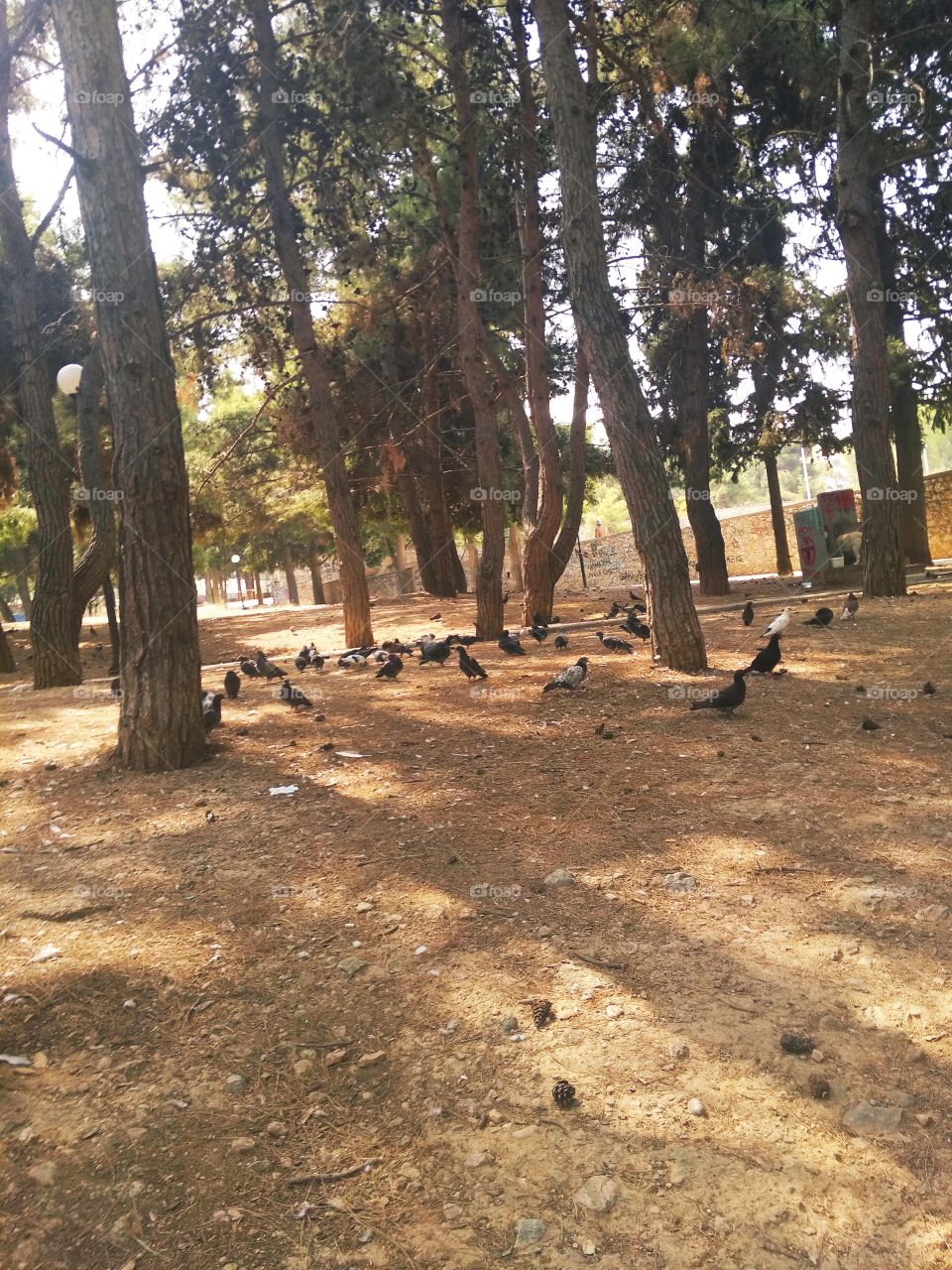 True nature, no filters