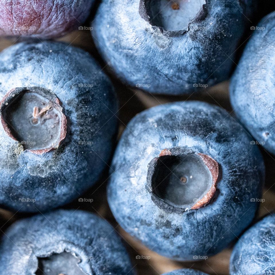 blueberries up close