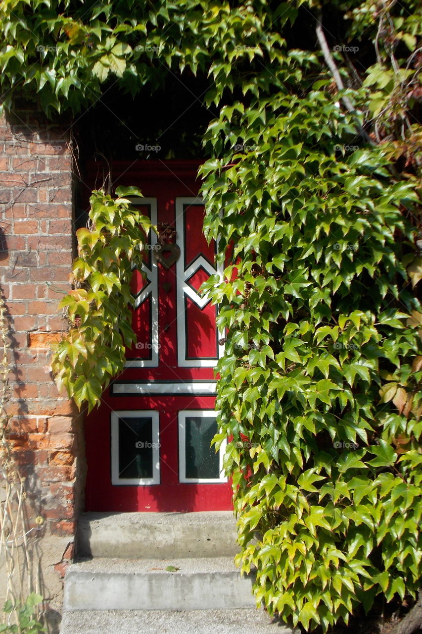 Doors of Lüneburg
