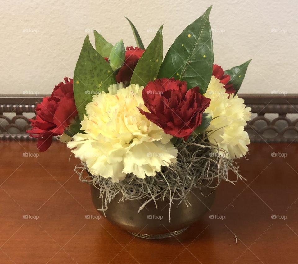 Red & White Carnations 