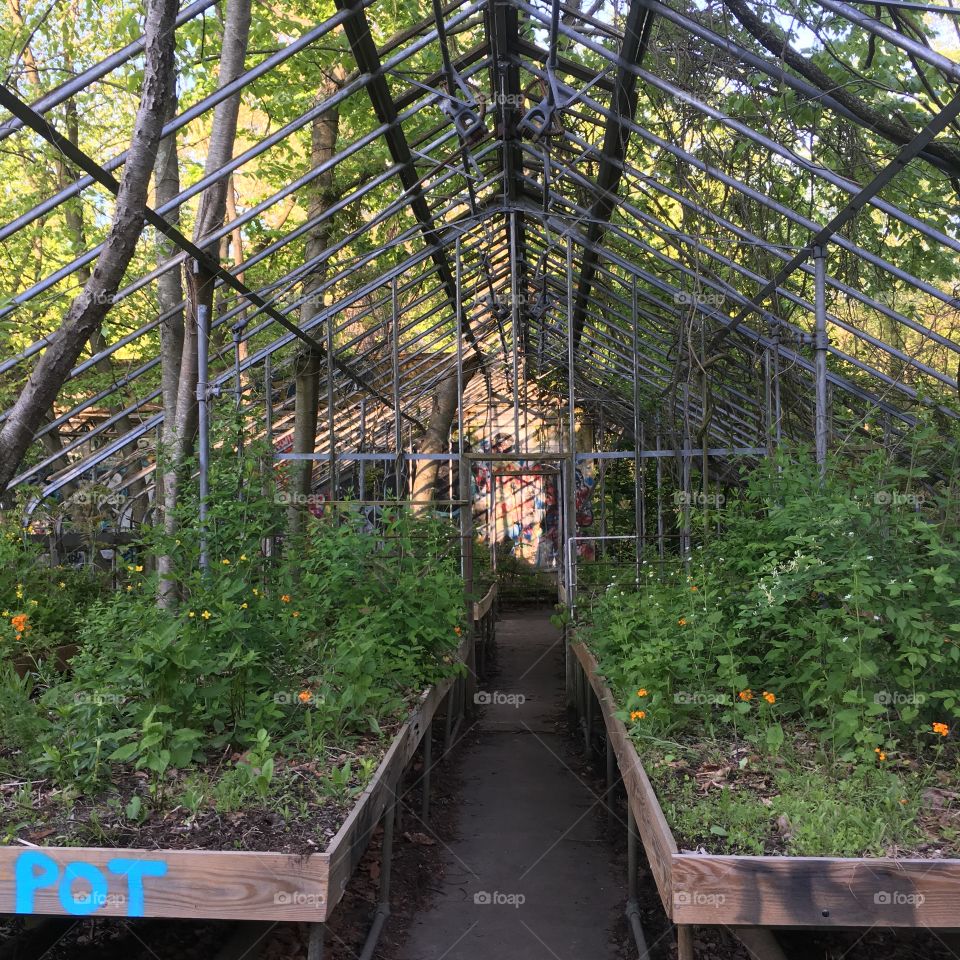 Abandoned greenhouse 