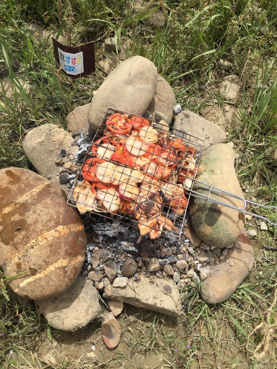 BBQ in nature
