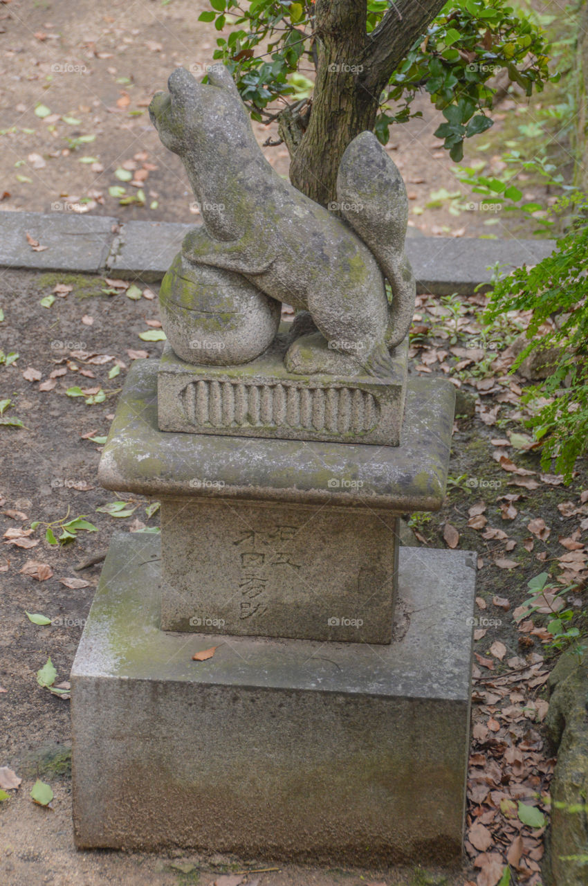 Sideview Of A Japanese Fox Statue