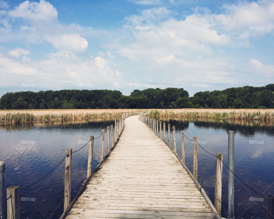 Wetland walk 