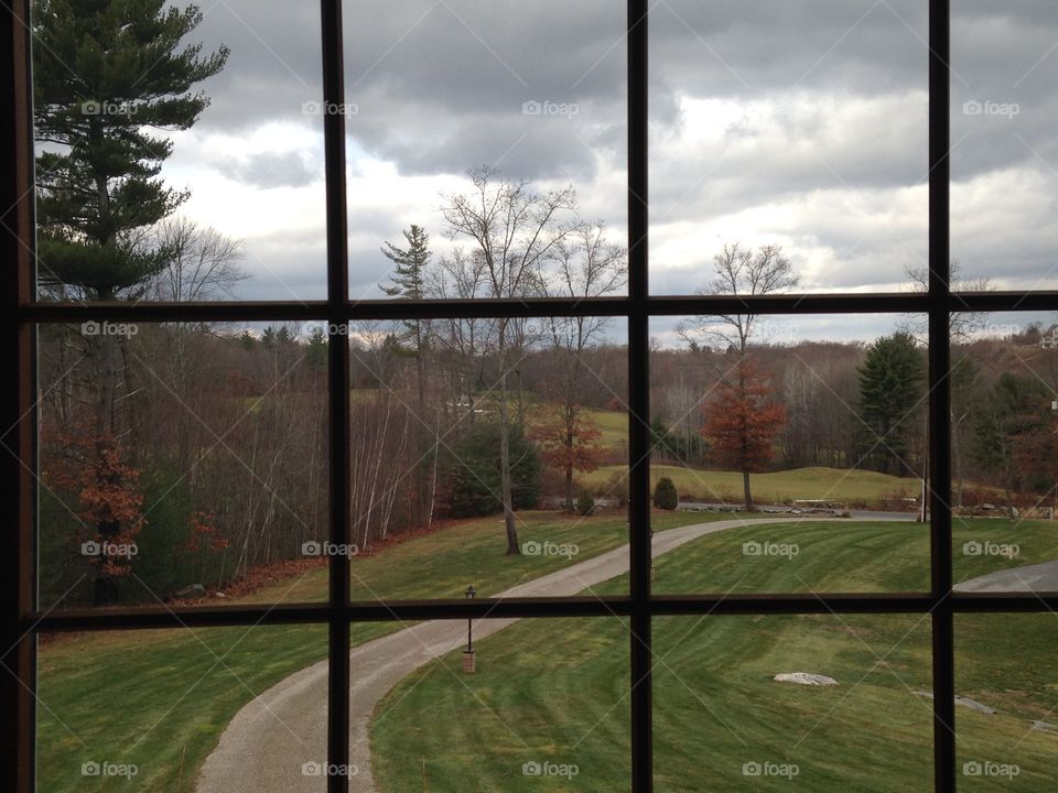 My view of the world every morning 