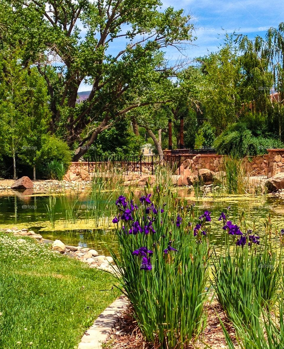 Gateway, Colorado #5