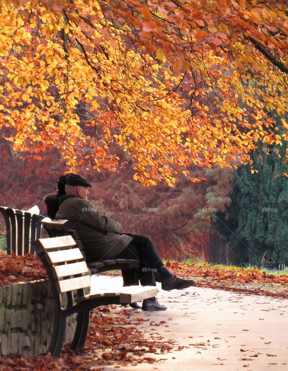 In the park