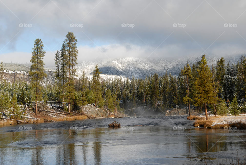 A tranquil early morning scene in Yellowstone National Park in November!