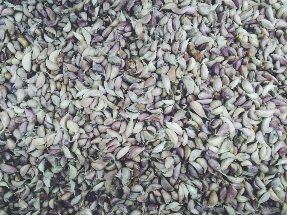 Garlic minimal background