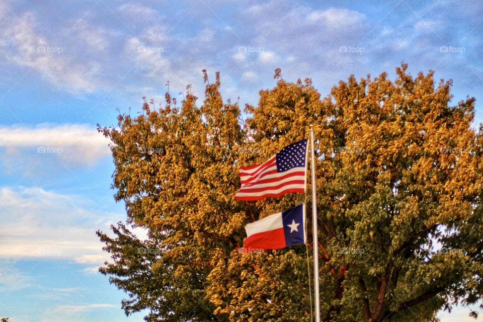 Texas and American Flag 