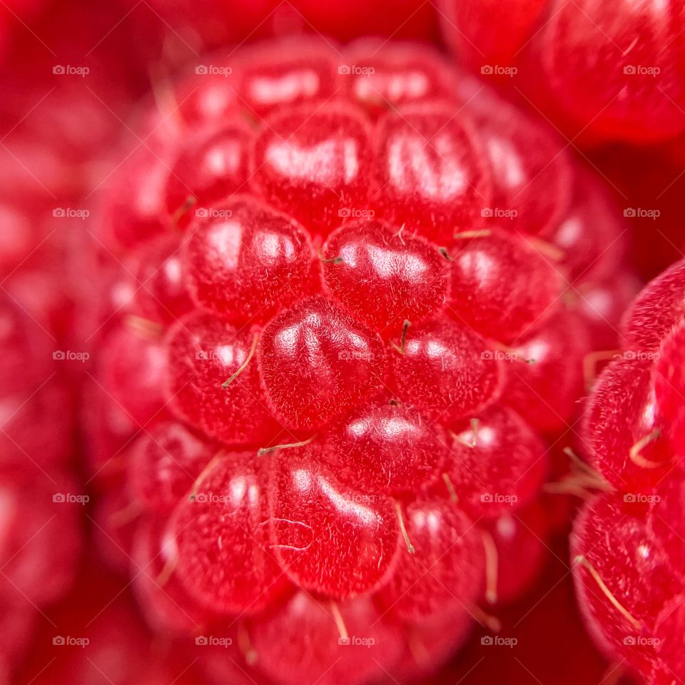 Macro photo of red raspberry 