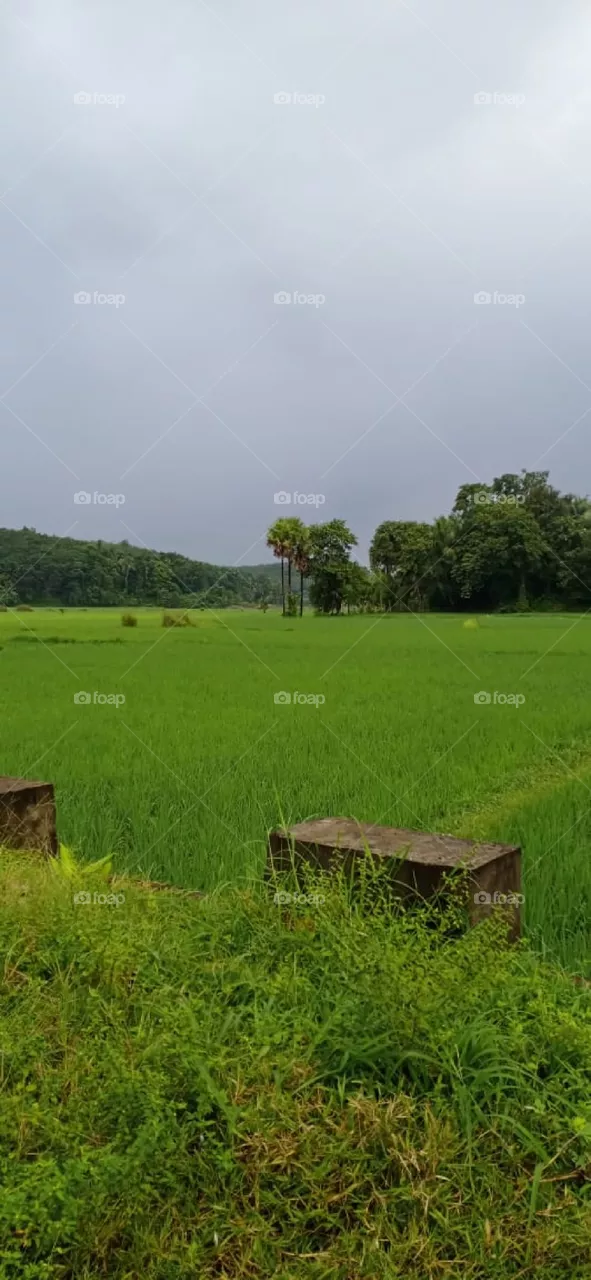 beautiful scenary