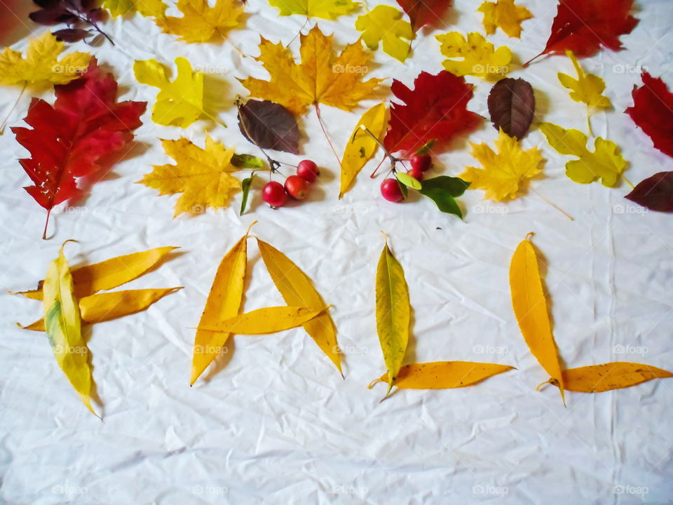 colorful autumn leaves