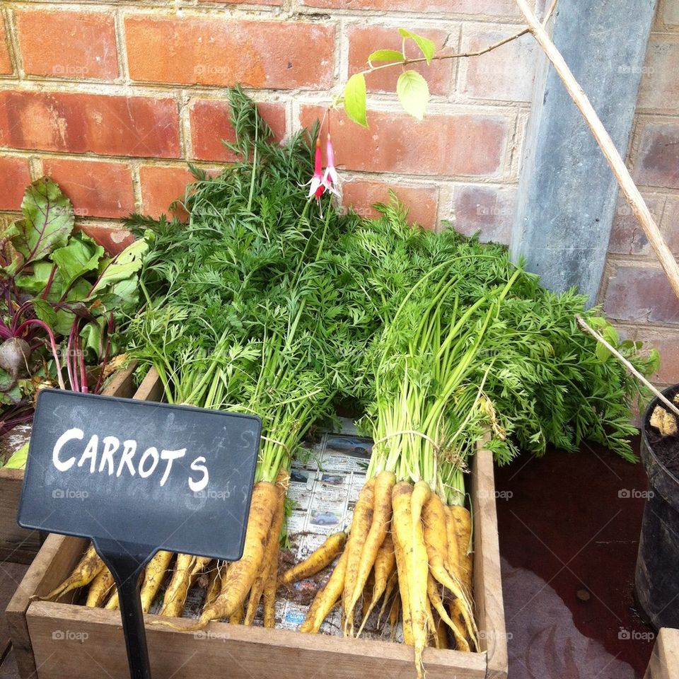 Carrots