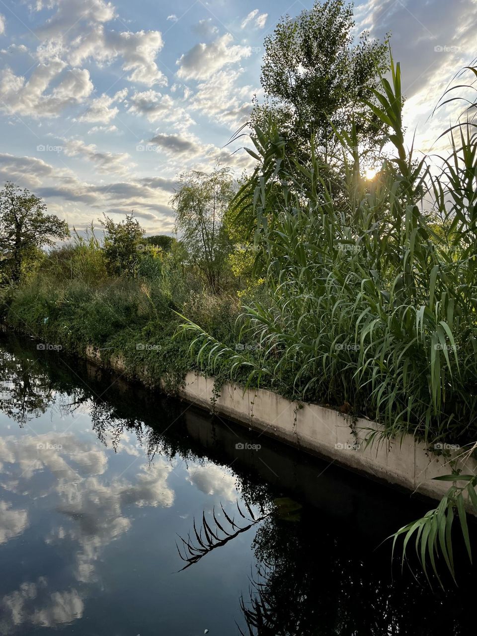 "The beauty of nature, gazing upon its own reflection, lost in the clouds."