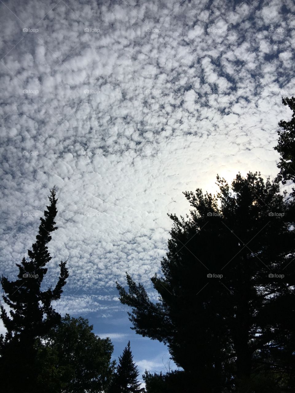 Trees & clouds quite unique!